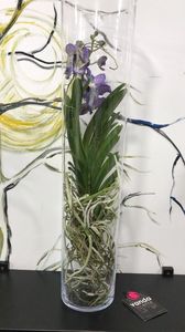 5722105A-897D-4AD2-88DA-91EA89CD2865