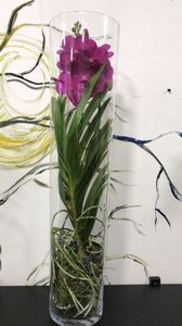 54E79E49-6E20-47F8-85A1-14A136EBFAD9