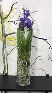 BAA4C108-8388-44A1-8DC4-A3211B4F2091