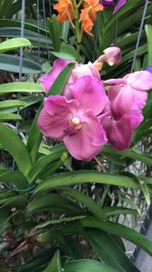 35329952-246E-4508-8711-BB2A8EAAAE73