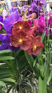 130AE14C-77C9-45A0-B20C-F5CCDE3A1835