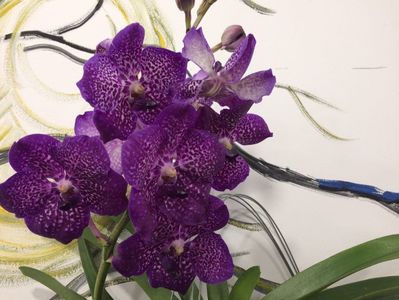 9750D12A-39B4-433A-B0C2-B98438B3413B