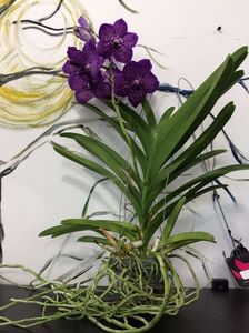 572999D1-2F6A-437D-93BD-83D8813A31B9