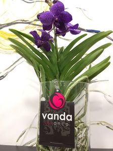 0D77D540-3AD4-43D7-9A77-BE2CC402BAEF