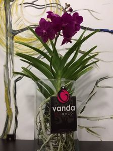 0724D841-D471-422E-90AD-1A96F455F6C2