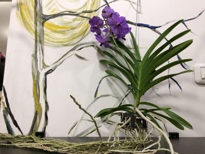 6146298C-1C42-45E1-9FCA-6AFFFBBDE1E7