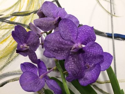 4209389D-4EC4-485F-974F-3C73D16BF7A3