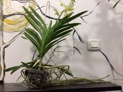 B839D3C1-CE36-48E7-9D64-E8198A8013F3