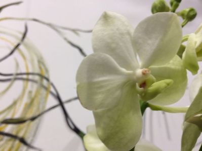 0D3A4C68-C8B9-4D24-9836-4CA04AEAB7F1