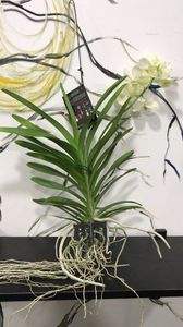 CC3131DF-1044-478A-885D-5F0C391803E8