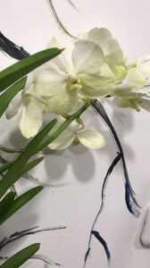 BA1E1F27-4648-4BE5-947C-689FDE05C9E0