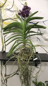 C803CFE1-3E08-473D-B07E-6B0EB5B0A1AC