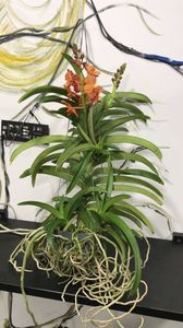 B940DCA7-B342-4A8C-942A-6763C0DABF85