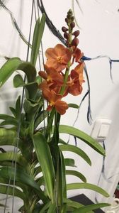 416EBFBA-55AF-4A7F-A38E-9F0B00D7075D