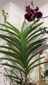 773C72CD-9061-41C3-95DC-26AF79C37BCA