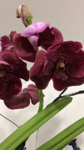 7D53CB4B-9BE4-4370-AF93-FAE627DF9E8D