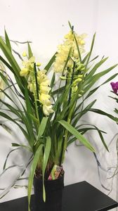 D8E61984-658B-4824-986F-36677F8E5C95