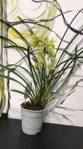 573BC688-A1FD-4C2C-B9E8-3B2DB311DEB5