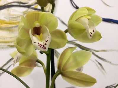 15A89859-4C4C-4FD6-B13B-0985B9BFD440