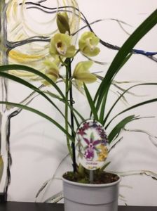 F9644F45-43FF-4F3D-8301-32C98E224D59