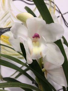 8952030E-BC09-4F94-BD71-C7285F82E124