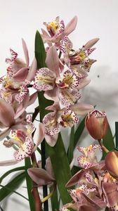 13AF0B9C-38DE-4741-B845-98C3012E061A