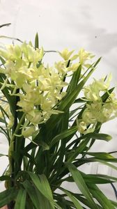 E2032AC4-8D4E-4E16-92FF-4968BA76E4F3