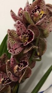 05B34F98-8F0B-4BB1-AD7A-66FEE890ECF8