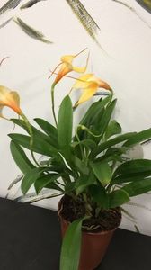 96948149-33A0-4FB6-9D75-7A6A0857A87D