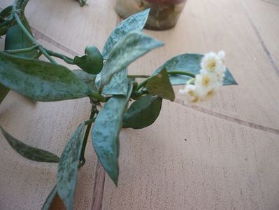 P1360547