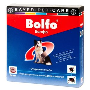 bolfo-dog-66-1