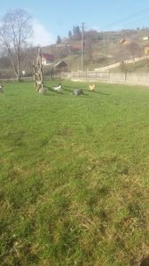 20180409_170510(0)