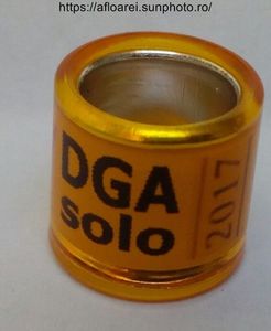 DGA SOLO 2017