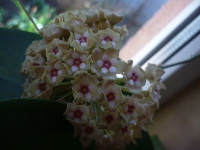 P1360596