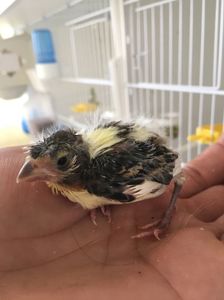 9A033723-9F7A-4298-A03A-169579E98B17