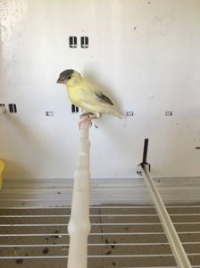 AA05A74E-3333-499F-9775-D2A17E9468F2