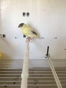 5275B4B7-8768-46B3-8E77-FD0C110E94BD