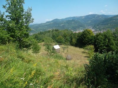 poze io 1114