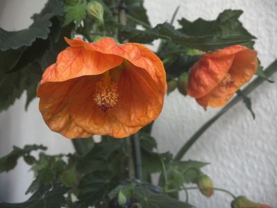 WIN_20180415_103225