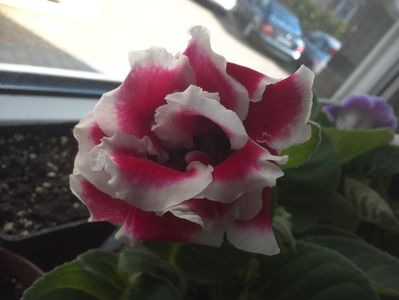 WIN_20180415_103632
