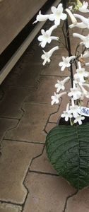 15.04.2018