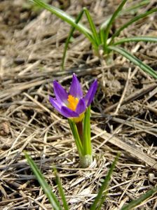 29.03.2018 Abia acum am scapat de zapada.