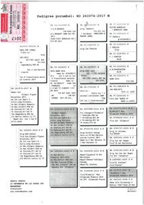 SKM_C224e18041813021_0001