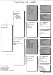 SKM_C224e18041812370_0001