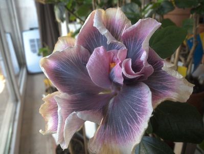 WIN_20180419_092845