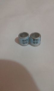 Ro 95