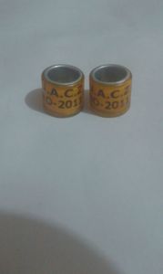 Ro 2011 uacz