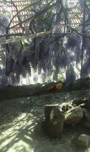 IMG-20180429-WA0007