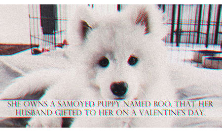 ୭[FactNumber: 07] ◊ ͅGͅiͅgͅiͅHͅaͅdͅiͅdͅ ꕥ Details