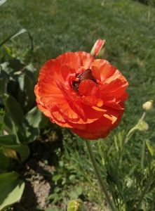 1mai